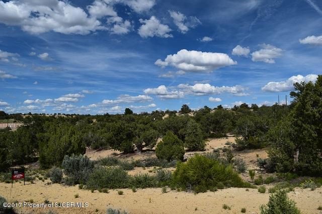 2010ESCONDIDO Trail, Farmington, NM 87401