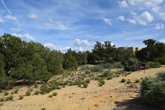 2010ESCONDIDO Trail, Farmington, NM 87401