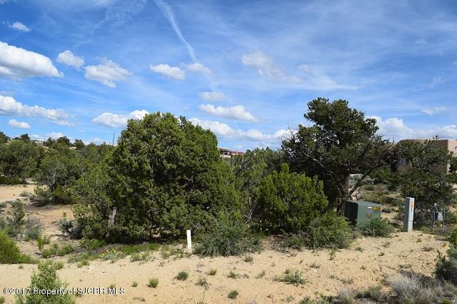 2010ESCONDIDO Trail, Farmington, NM 87401