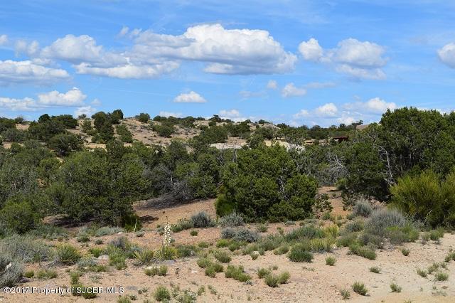 1900ESCONDIDO Trail, Farmington, NM 87401