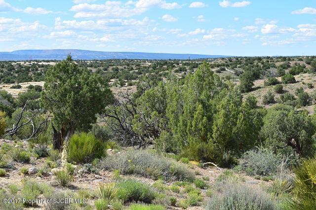 1900ESCONDIDO Trail, Farmington, NM 87401