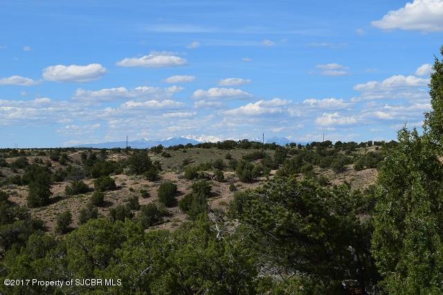 1900ESCONDIDO Trail, Farmington, NM 87401