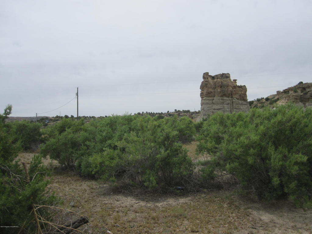 2ROAD 4956, Bloomfield, NM 87413