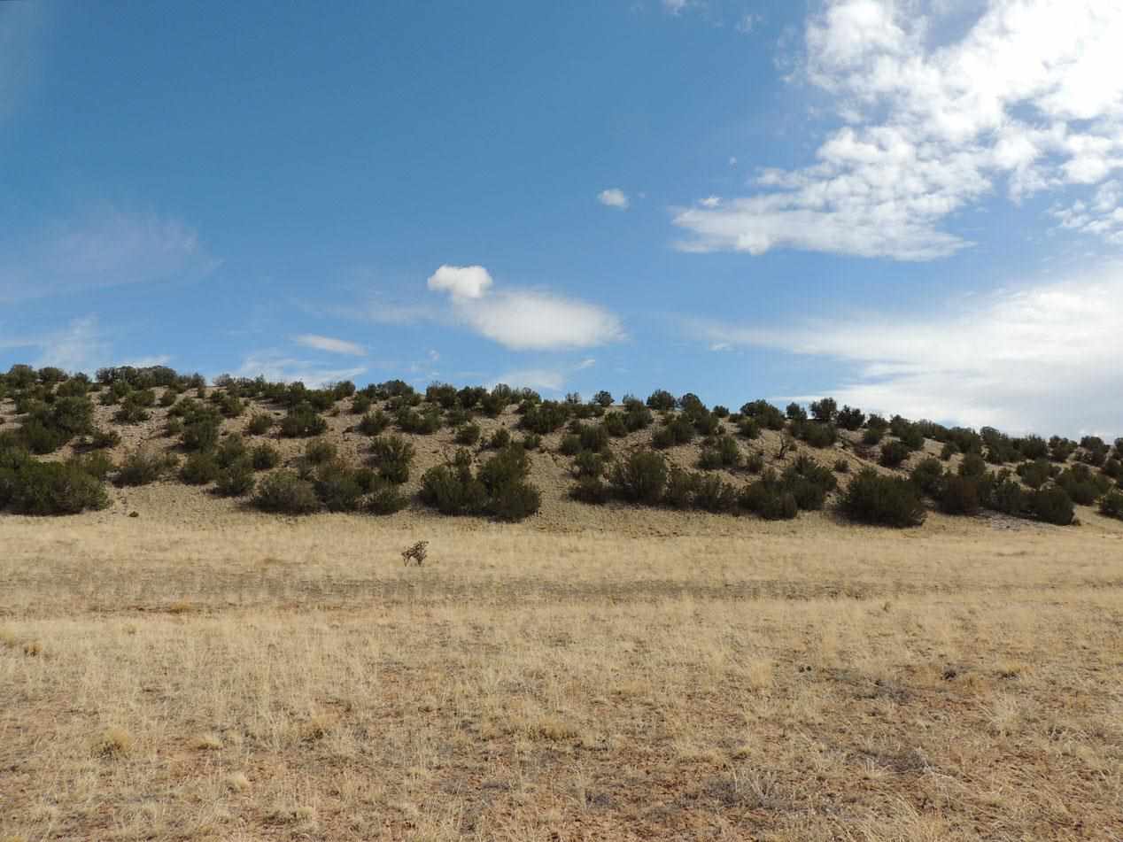 Lots 14-17 Buffalo Trail, Abiquiu, NM 87501