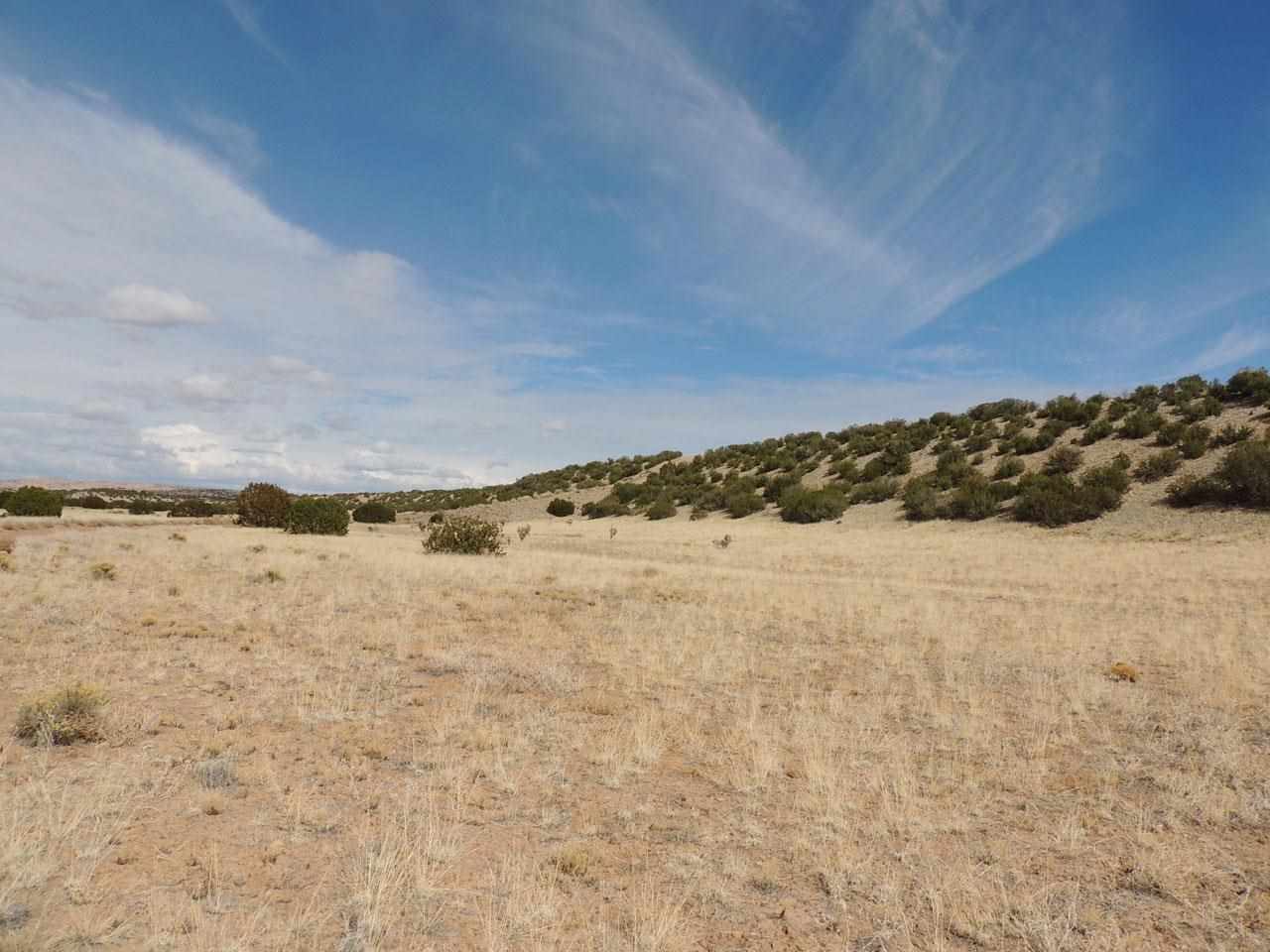 Lots 14-17 Buffalo Trail, Abiquiu, NM 87501