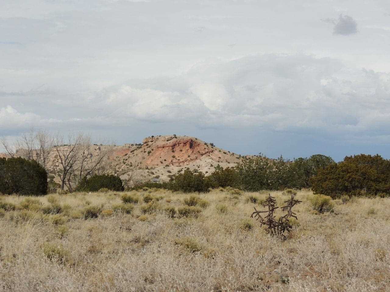 Lots 14-17 Buffalo Trail, Abiquiu, NM 87501