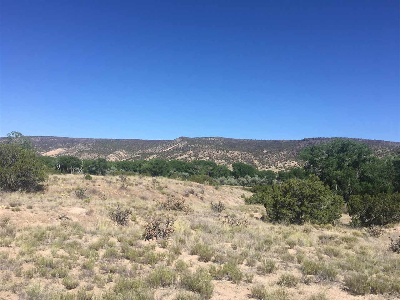 Lot A-1 D Arriba Vineyard Lane, Velarde, NM 87507