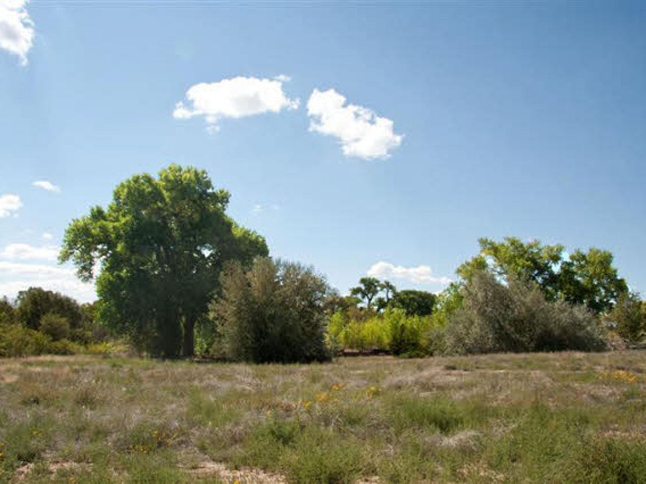 26 CALLE MILPA, Santa Fe, NM 87507