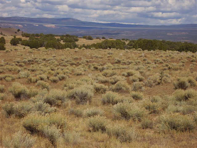 Lot 7 Piedra Lumbre, Youngsville, NM 87510