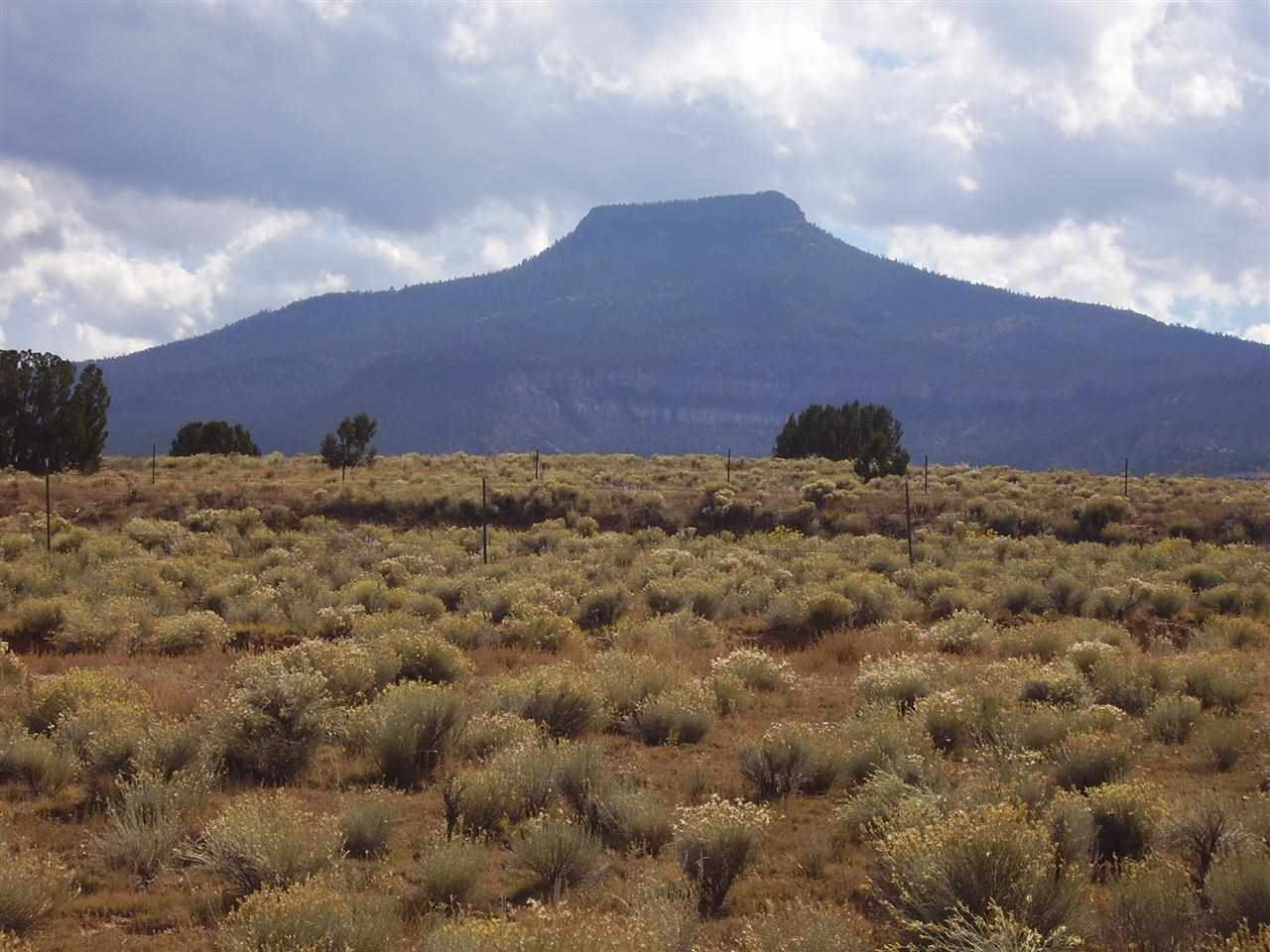 Lot 7 Piedra Lumbre, Youngsville, NM 87510