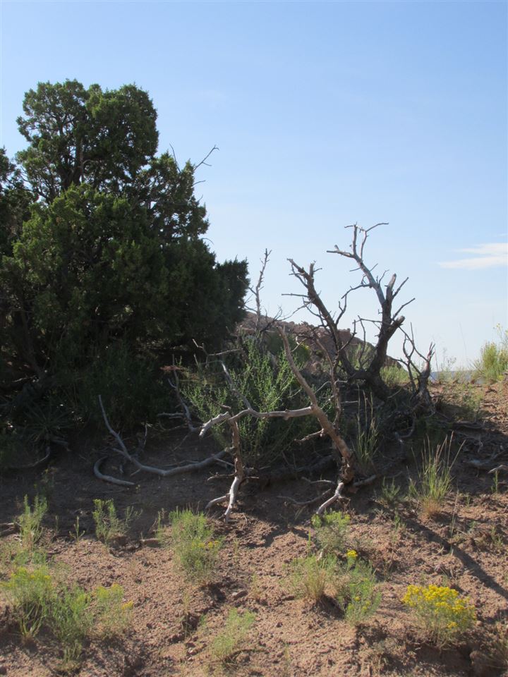 TBD Victoria Dr, Abiquiu, NM 87510