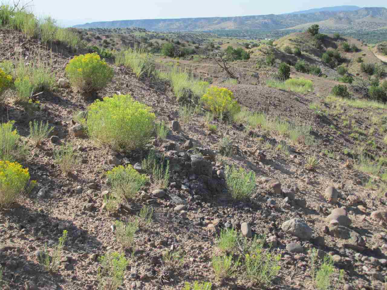 TBD Victoria Dr, Abiquiu, NM 87510