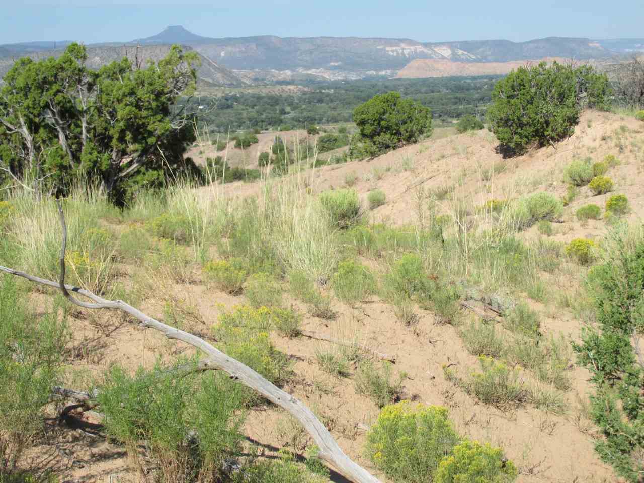 TBD Victoria Dr, Abiquiu, NM 87510
