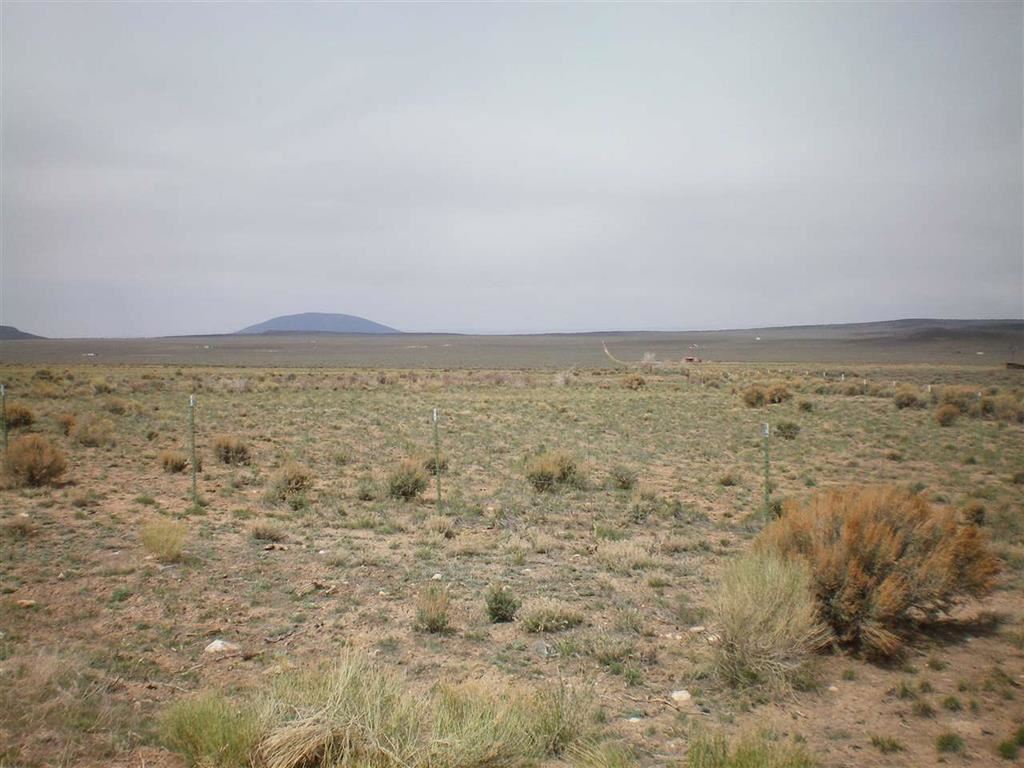 On Costilla Blvd, Amalia, NM 87512