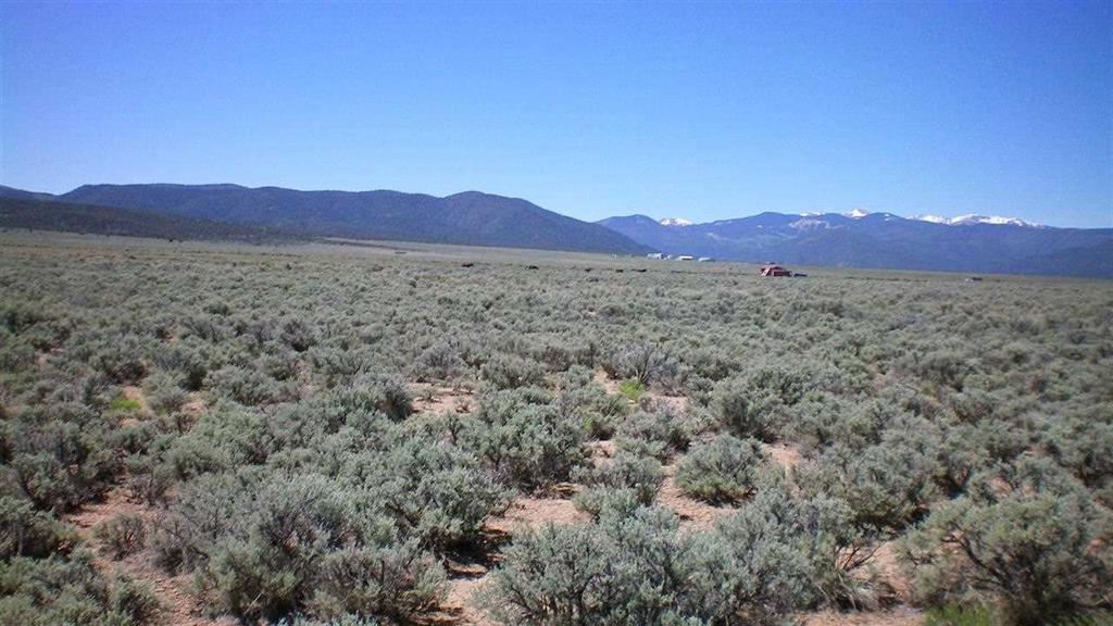 On Costilla Blvd, Amalia, NM 87512
