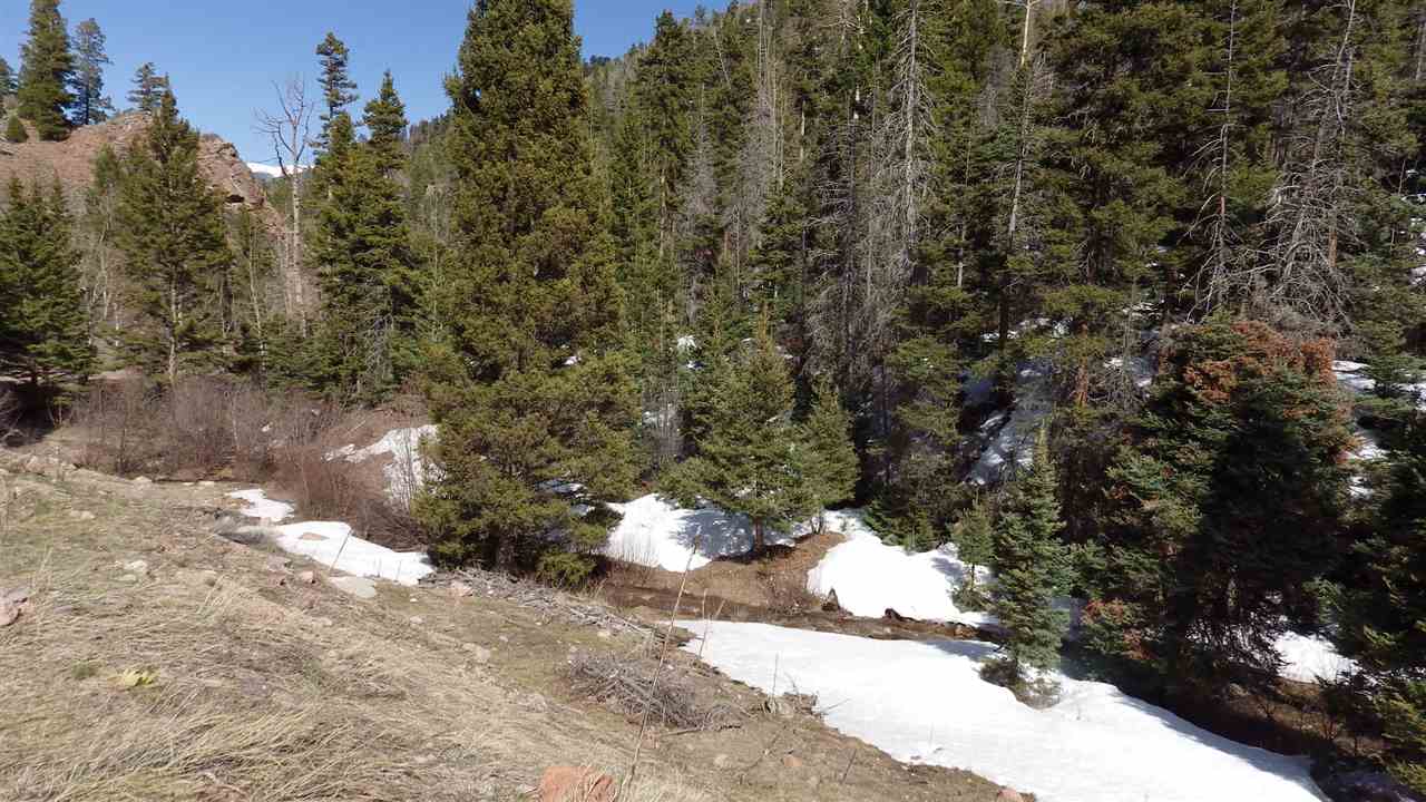 . Hwy 196, Amalia, NM 87512