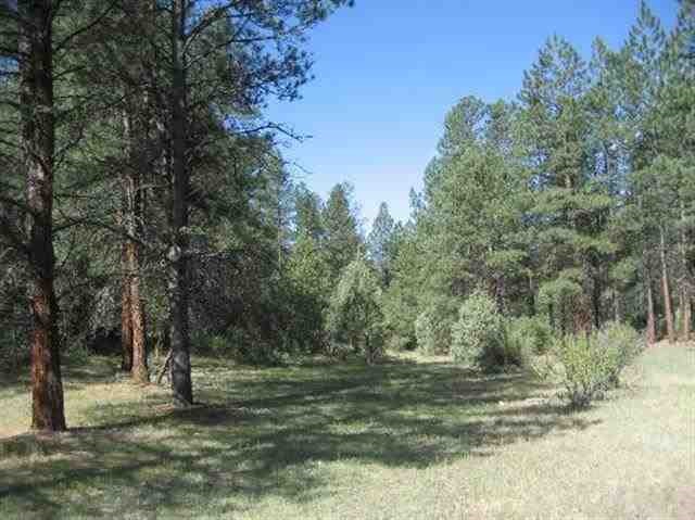 Tract B of the Remsen Tracts, Canjilon, NM 87515