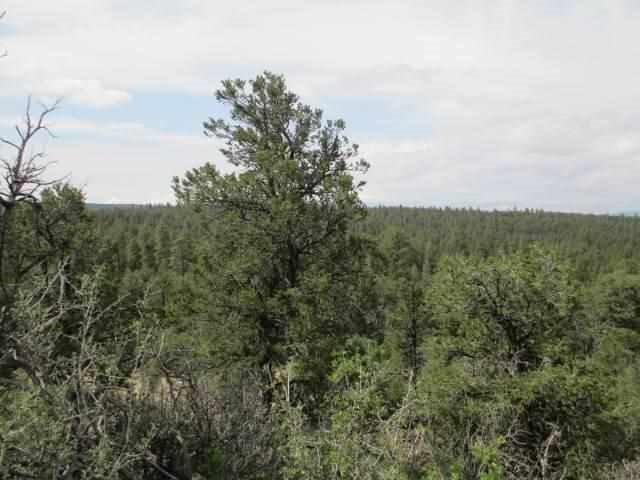 Tract B of the Remsen Tracts, Canjilon, NM 87515