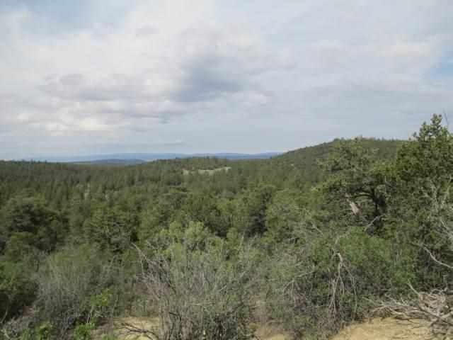 Tract B of the Remsen Tracts, Canjilon, NM 87515