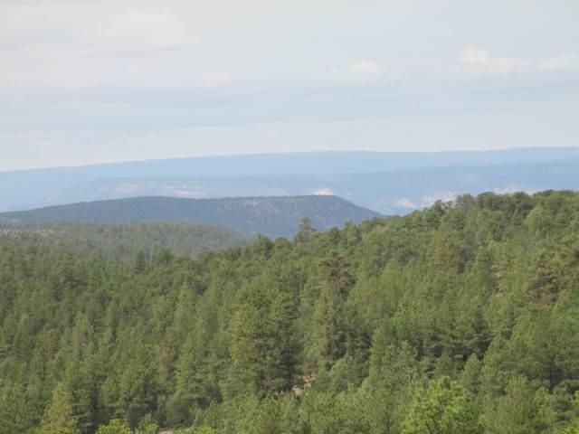 Tract B of the Remsen Tracts, Canjilon, NM 87515