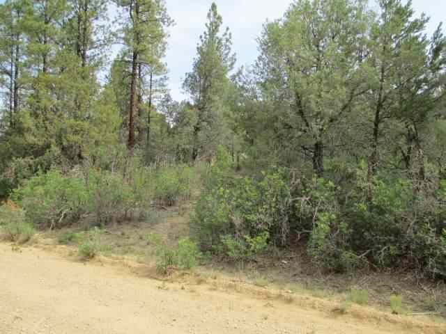 Tract B of the Remsen Tracts, Canjilon, NM 87515