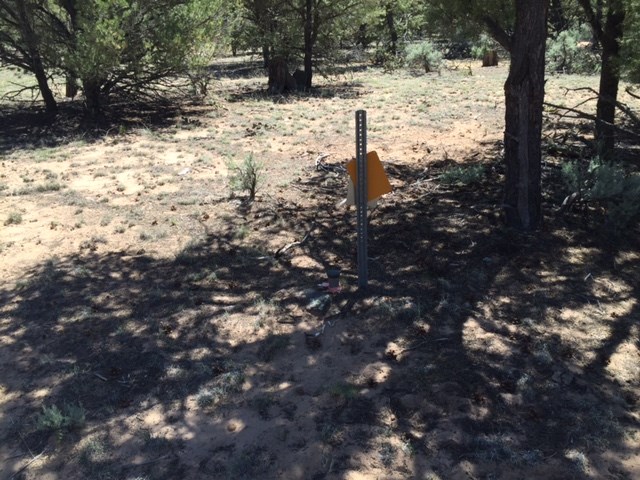 ... Forest service rd 556, Carson, NM 87517