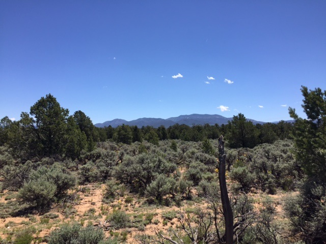 ... Forest service rd 556, Carson, NM 87517