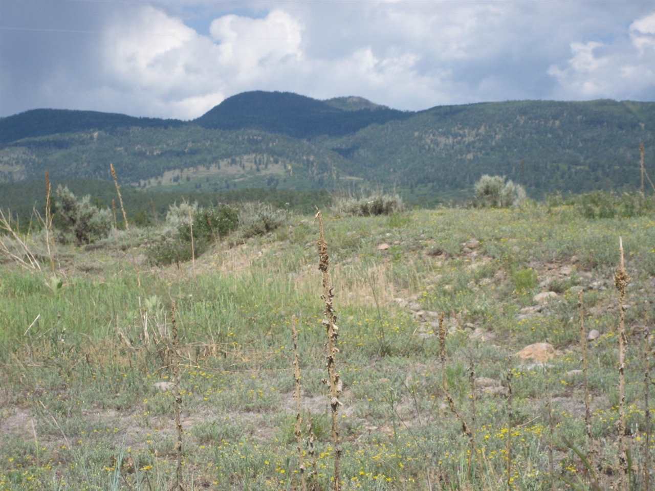 Lot 6 Blk 14 Rd. 1791, Chama, NM 87520