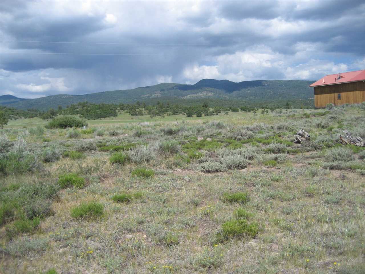 Lot 6 Blk 14 Rd. 1791, Chama, NM 87520