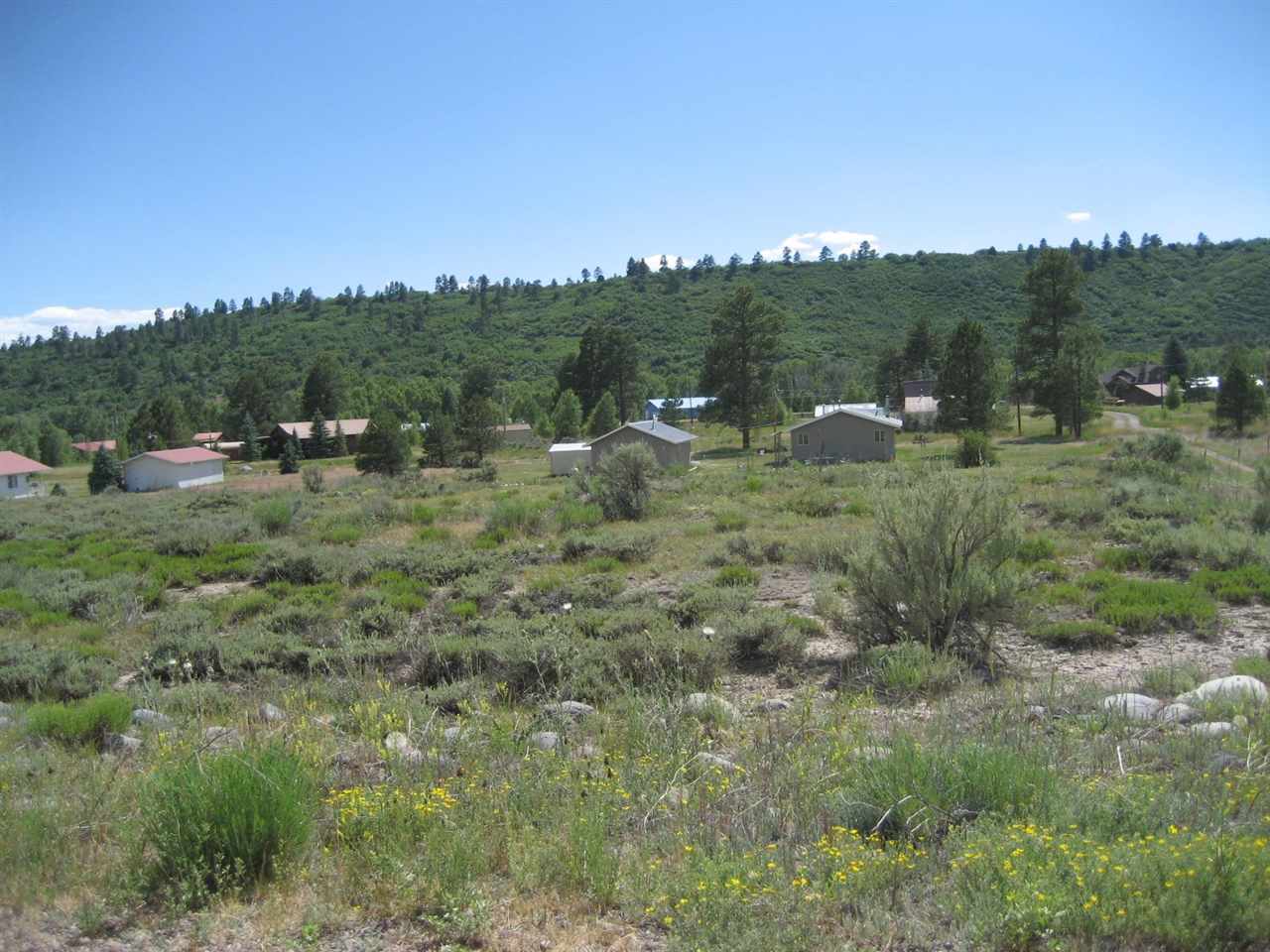 Lot 6 Blk 14 Rd. 1791, Chama, NM 87520