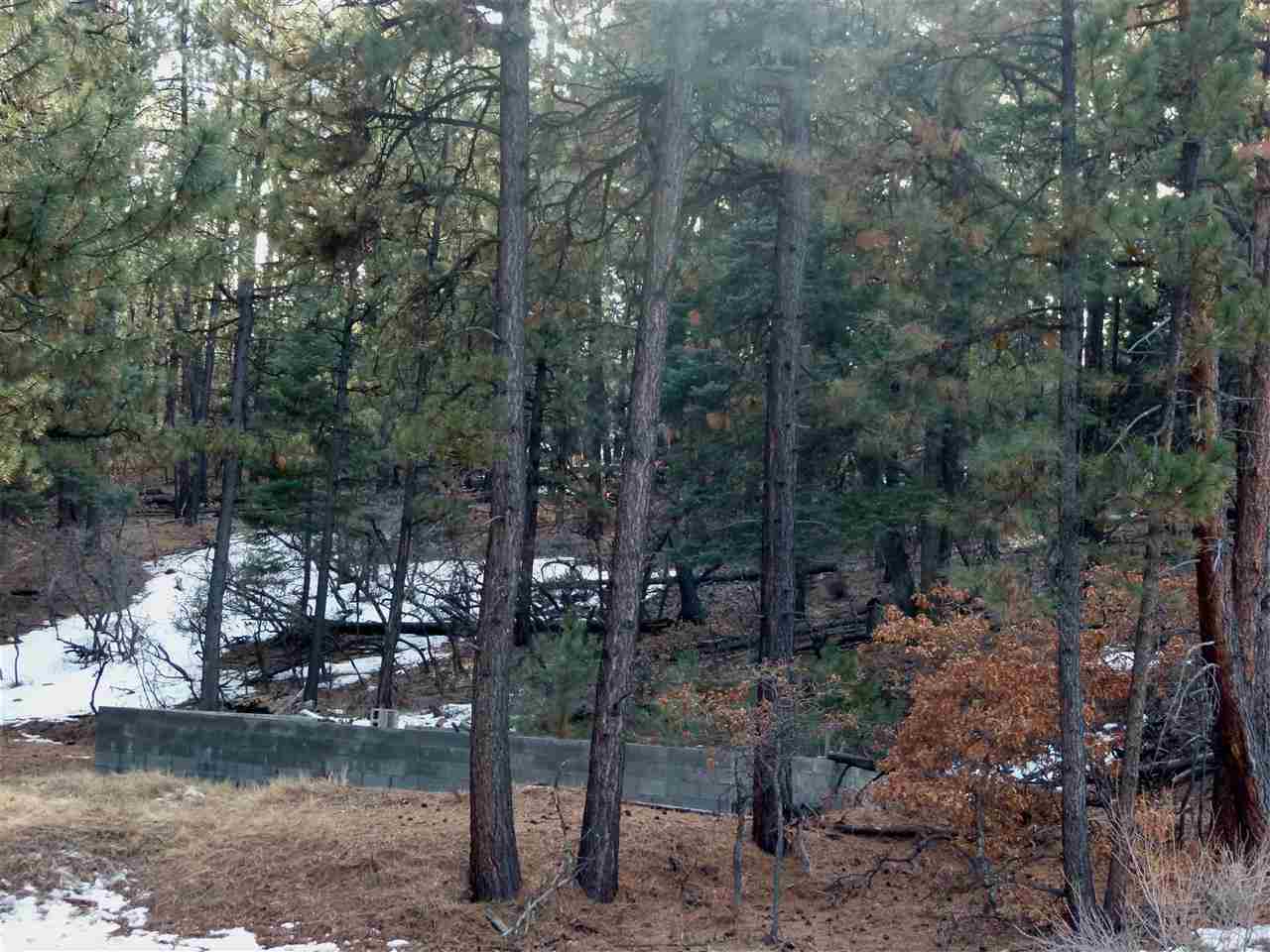 R4 Cotton Tail Road, Chama, NM 87520