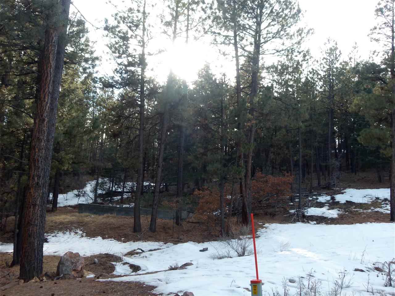 R4 Cotton Tail Road, Chama, NM 87520