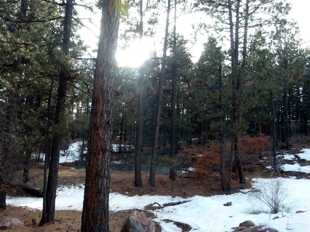 R4 Cotton Tail Road, Chama, NM 87520