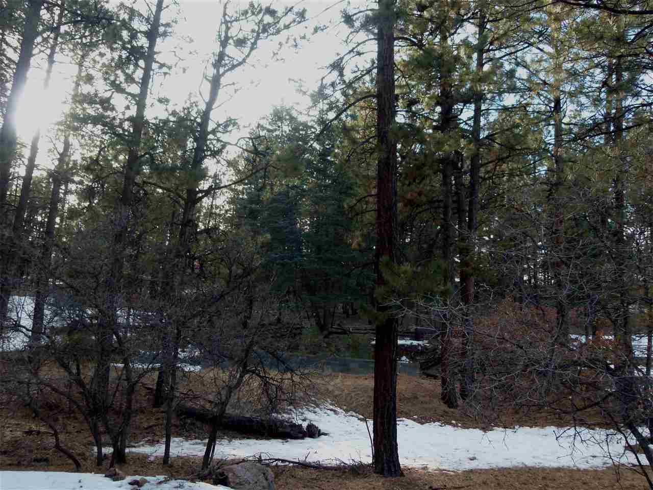 R4 Cotton Tail Road, Chama, NM 87520