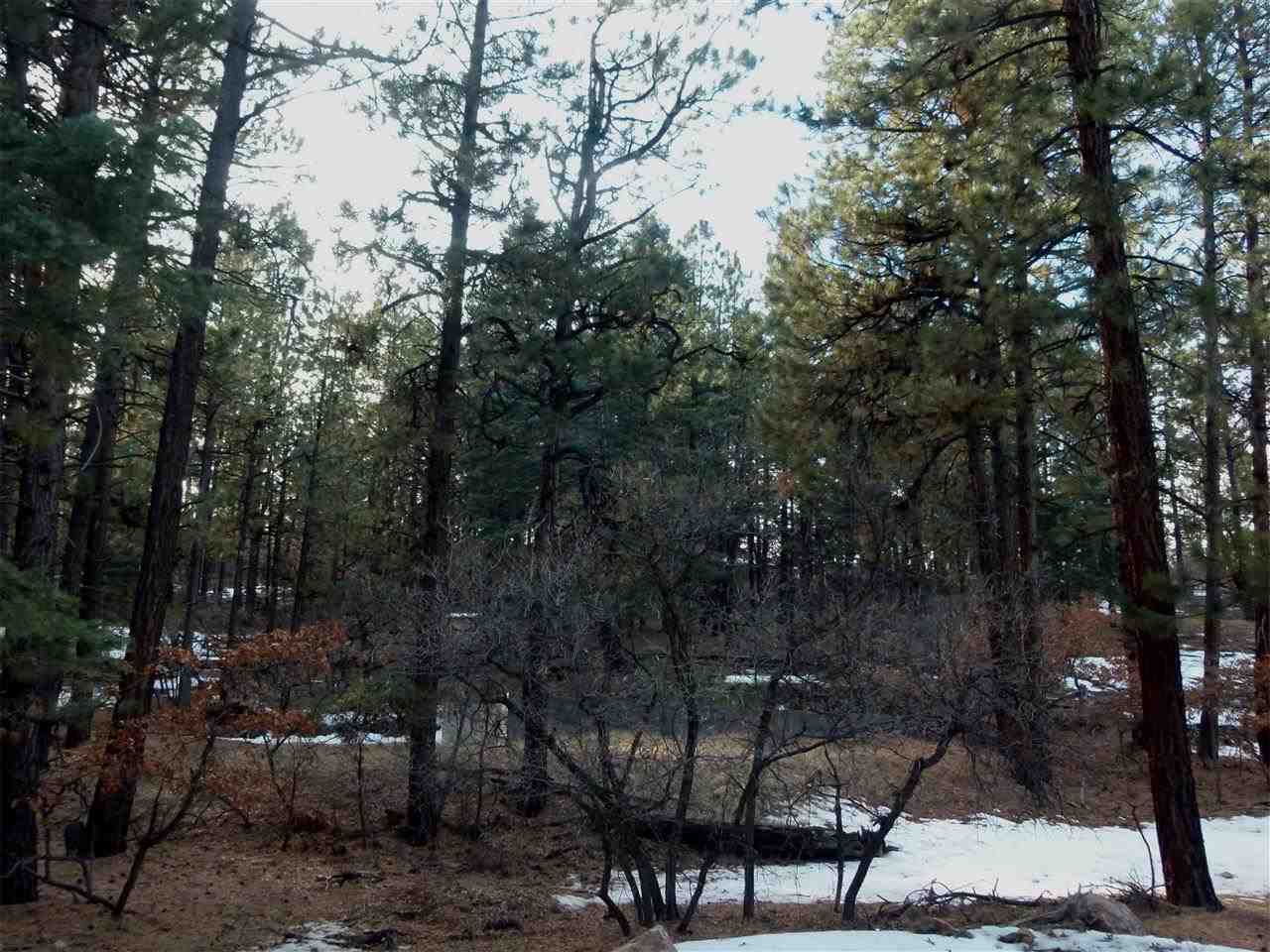 R4 Cotton Tail Road, Chama, NM 87520