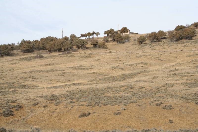 Llano Drive, Ponderosa S/D, Chama, NM 87520