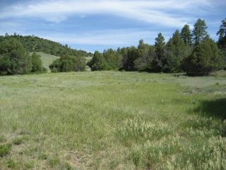 Unit 6, Tract 13, Ponderosa, Chama, NM 87520