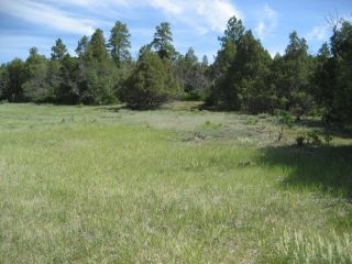 Unit 6, Tract 13, Ponderosa, Chama, NM 87520
