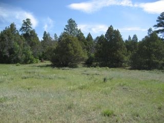 Unit 6, Tract 13, Ponderosa, Chama, NM 87520