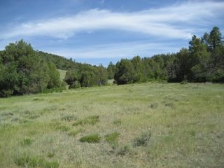 Unit 6, Tract 13, Ponderosa, Chama, NM 87520