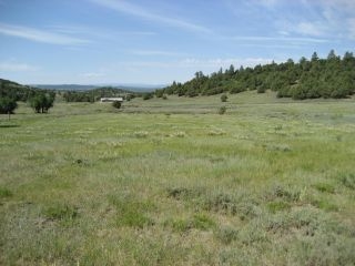 Unit 6, Tract 13, Ponderosa, Chama, NM 87520
