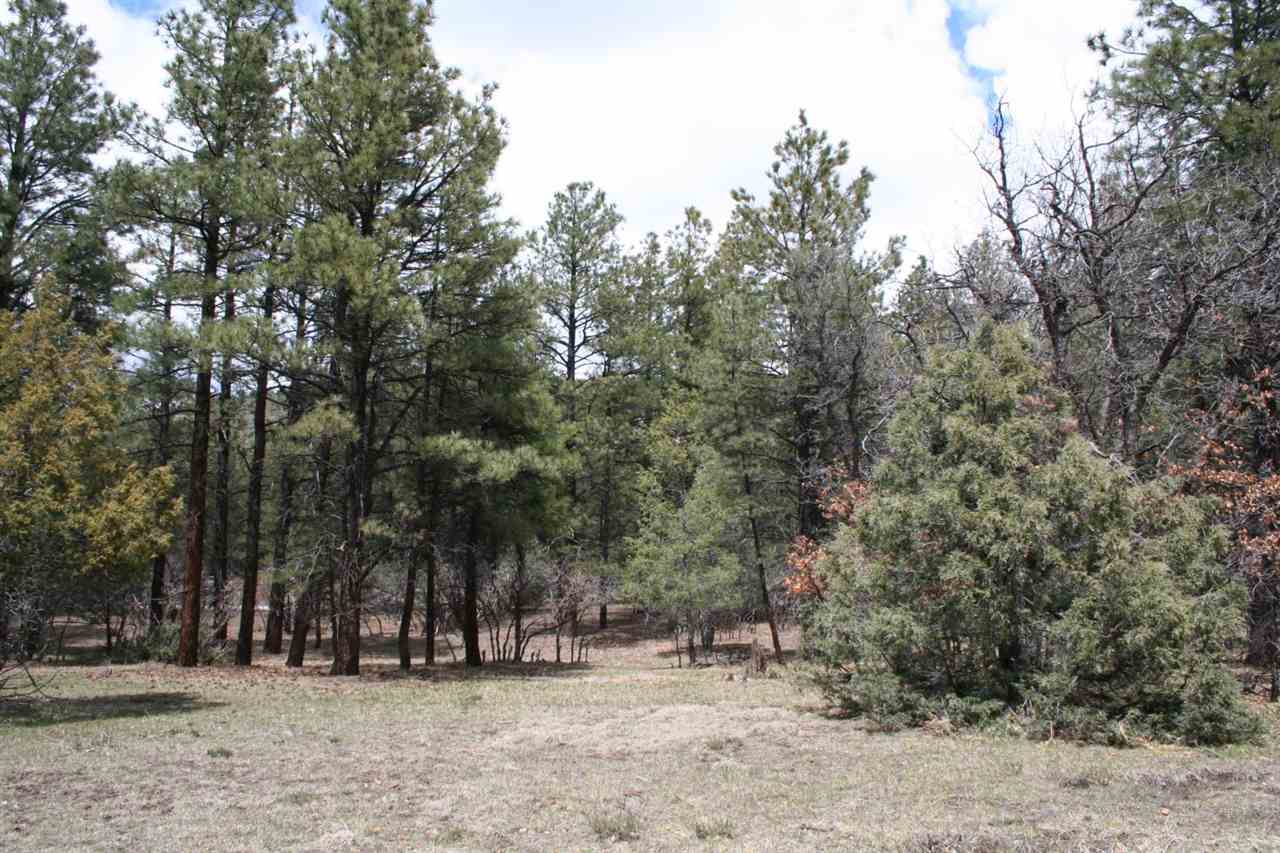 Highway 512, Millstone Lot 49, Chama, NM 87520