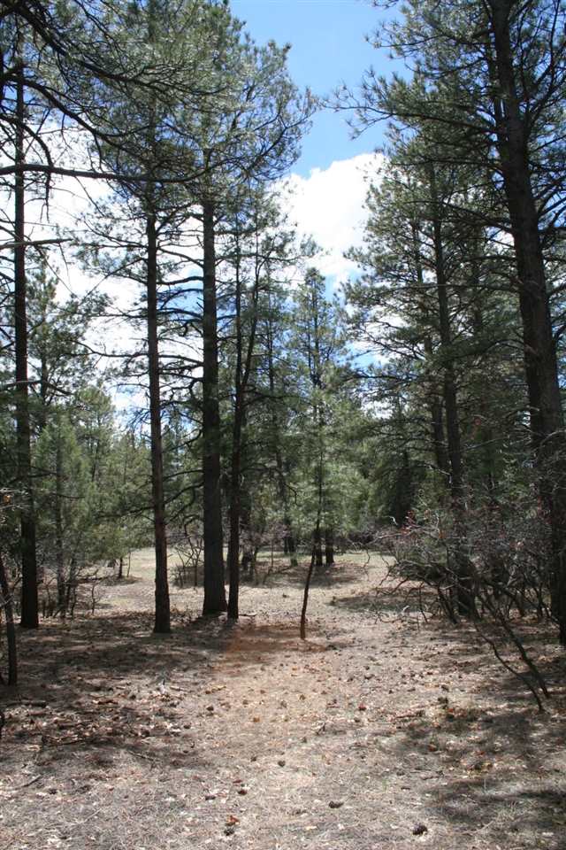 Highway 512, Millstone Lot 49, Chama, NM 87520