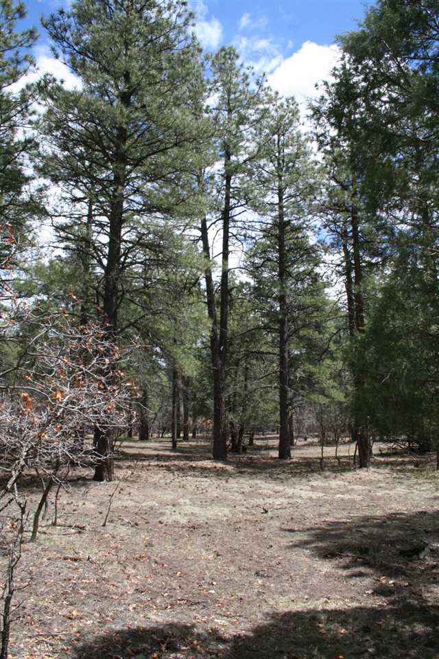 Highway 512, Millstone Lot 49, Chama, NM 87520