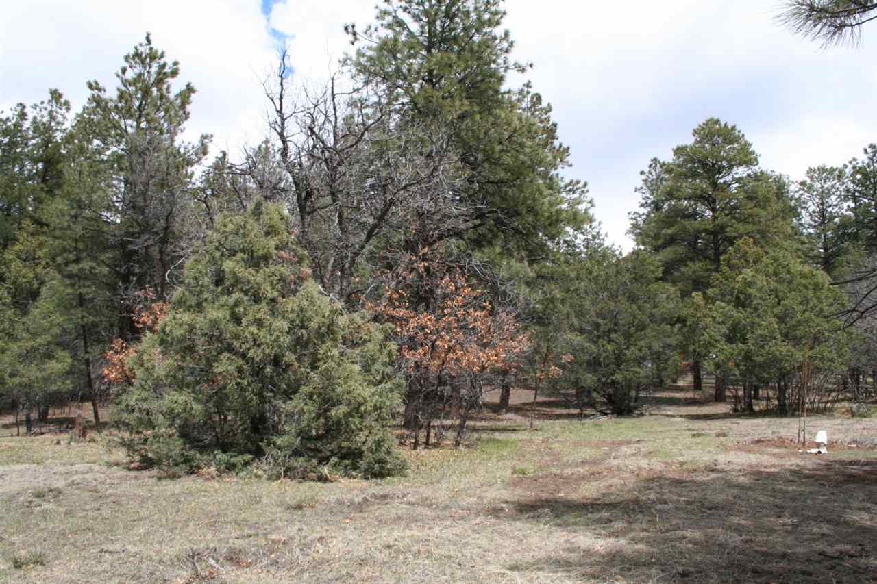 Highway 512, Millstone Lot 49, Chama, NM 87520