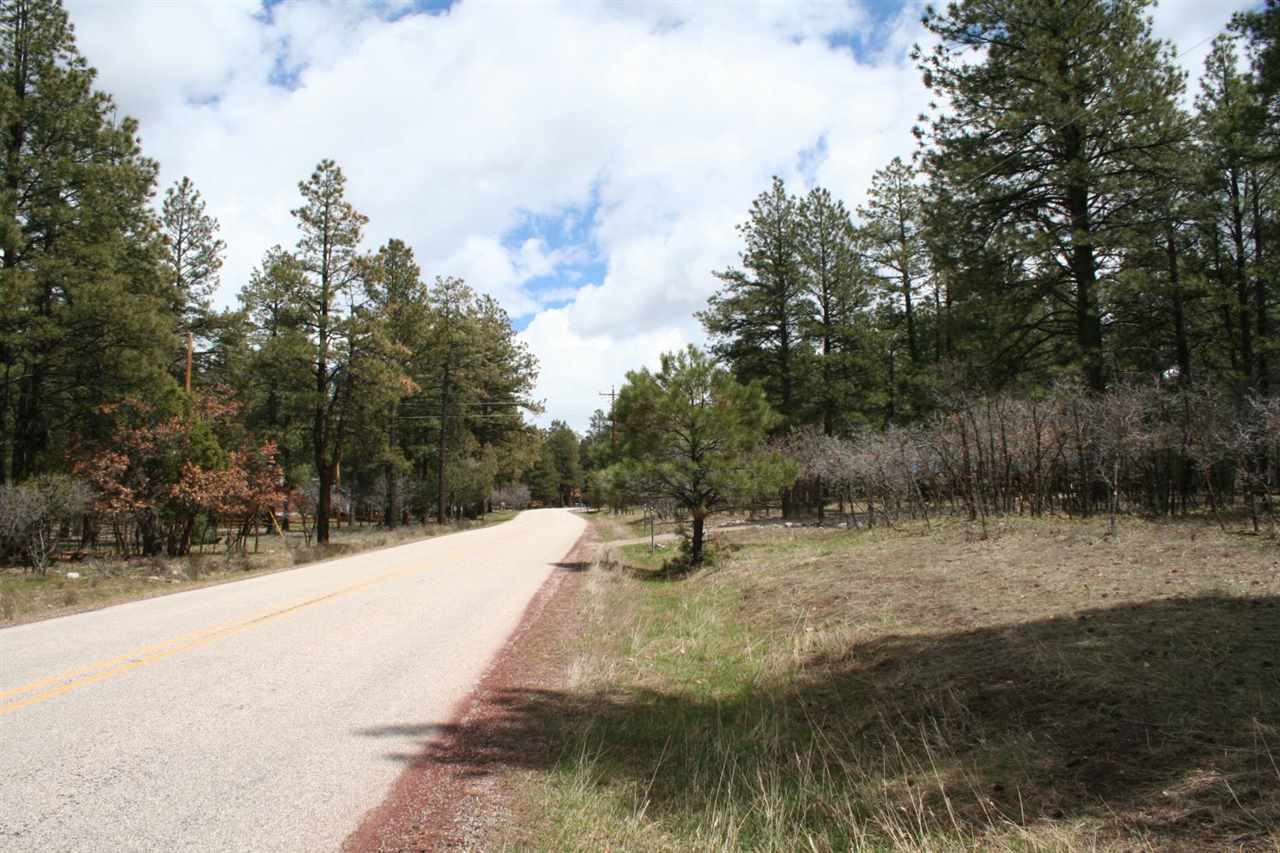 Highway 512, Millstone Lot 49, Chama, NM 87520