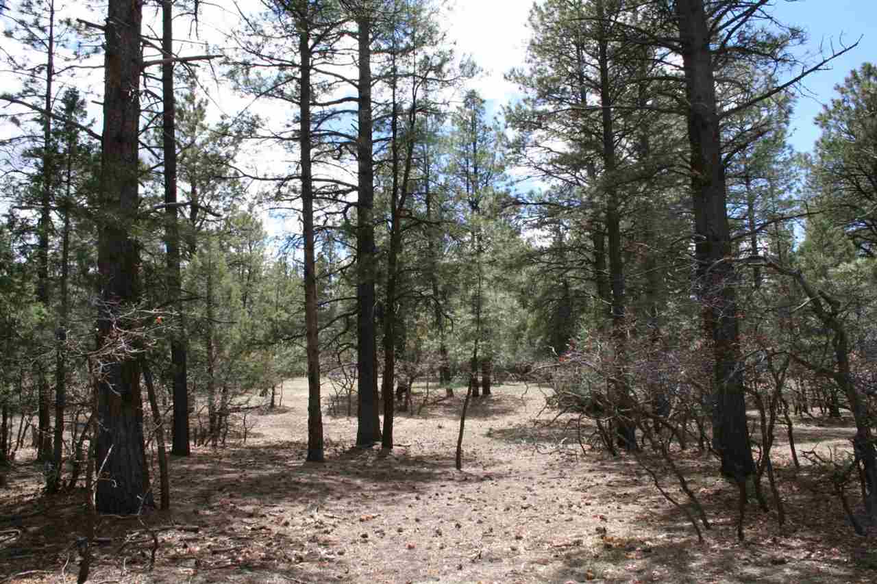 Highway 512, Millstone Lot 49, Chama, NM 87520