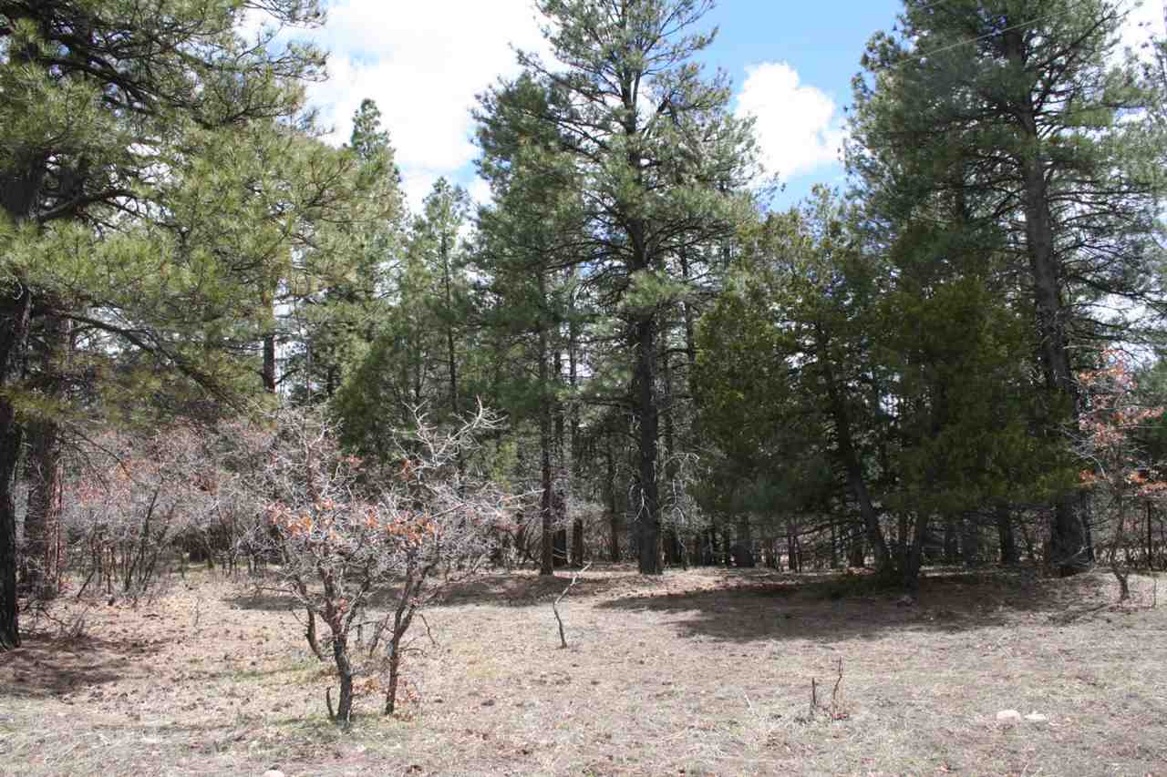 Highway 512, Millstone Lot 49, Chama, NM 87520