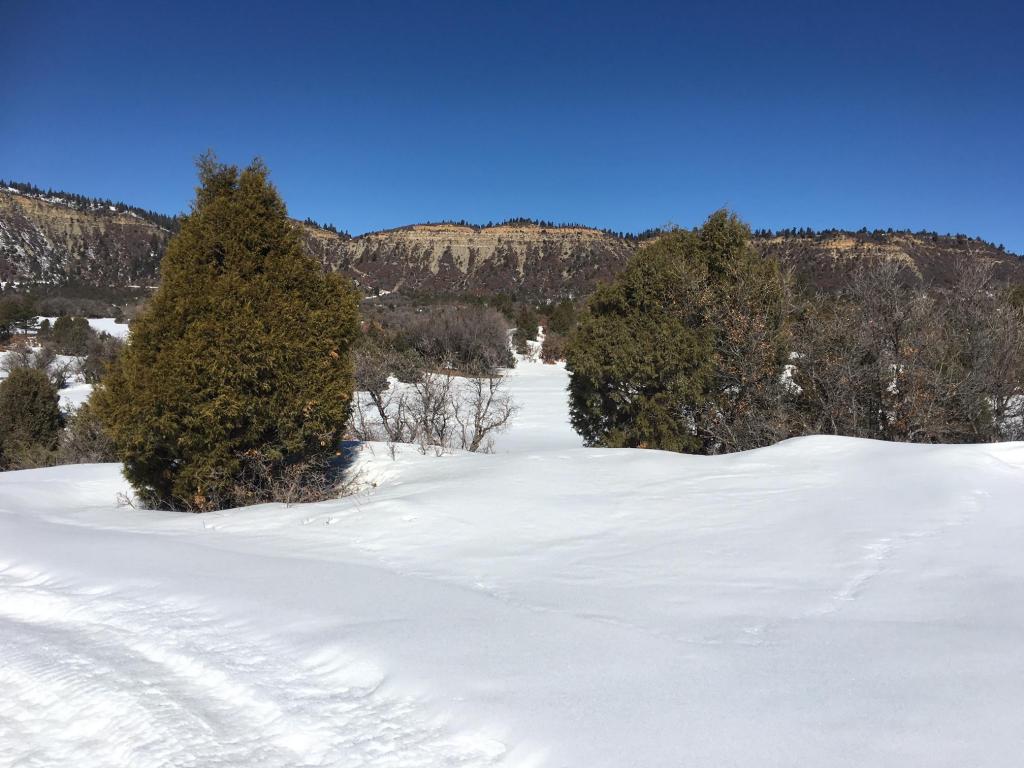 Hwy 64 W Victoria&#039;s Tract, Chama, NM 87520