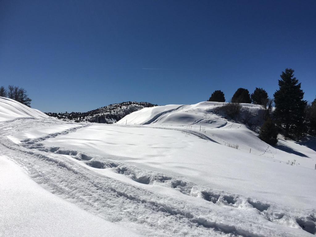 Hwy 64 W Victoria's Tract, Chama, NM 87520